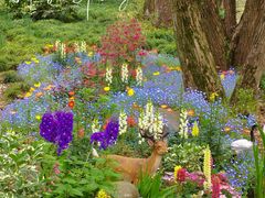 -上海共青森林公园