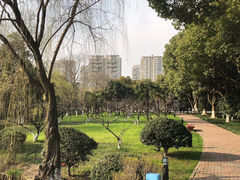 -中央公园(苏州工业园区)
