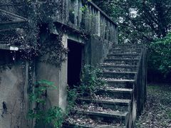 -上海佘山国家森林公园天马山园