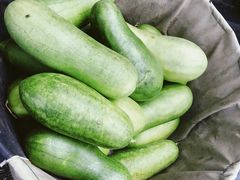 -芦潮港集贸市场