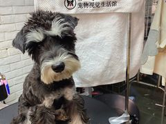 -Goku PET SHOP宠物视觉生活馆(双井店)