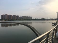 -映月湖中央公园