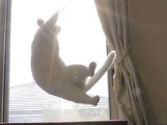 -LikingFit24小时健身•普拉提(张江店)