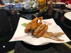 -阿庄新豫菜(航海东路店)