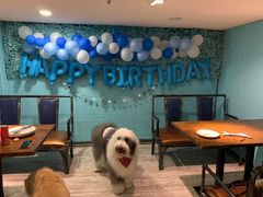 -百好乐宠物友好餐厅(朝外大街店)