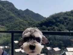 -北京山里寒舍度假酒店