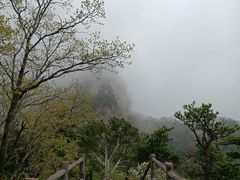 -王顺山国家森林公园