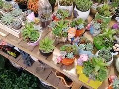 -双季花艺园艺市场(浦东店)