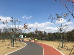 -上海长兴岛郊野公园