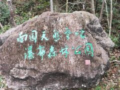-姑婆山旅游区