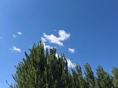 -阿尔丁植物园
