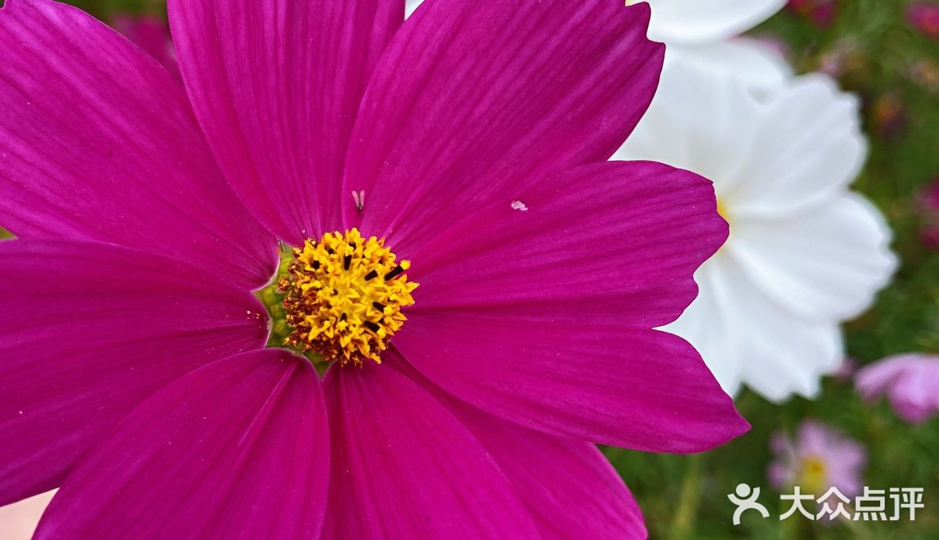 正果云吞、虾堆、粽子、腊味饭、濑粉、蛋散、咸水角、糍粑…