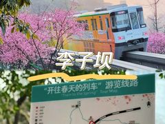 -李子坝梁山鸡(李子坝大鸡哥店)