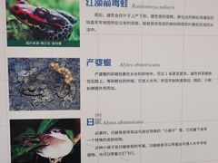 -浙江自然博物院(杭州馆)