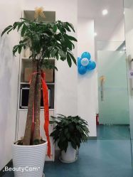 -SOR索尔祛痘·面部肌肤科学管理