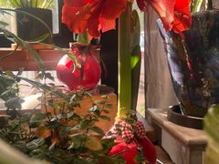 -弗劳尔花艺坊(龙涛店)