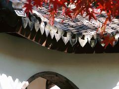 -秋霞圃