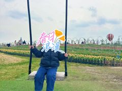 -荷兰花海