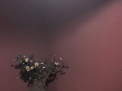 -都氏家DUSJOY(翡翠城店)