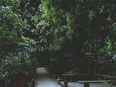 -成都市活水公园