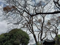 -雀儿山公园