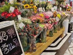 -凯德广场(学府店)