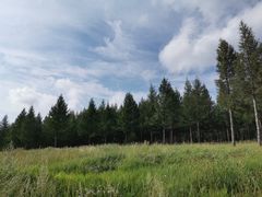 -塞罕坝国家级自然保护区