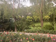 -大望京公园
