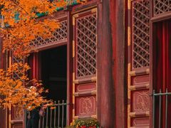 -香山公园
