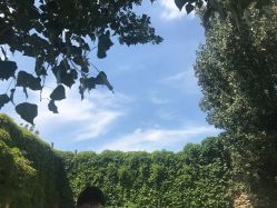 -东方美妍