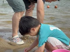 -碧海金沙