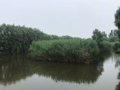 -白洋淀景区