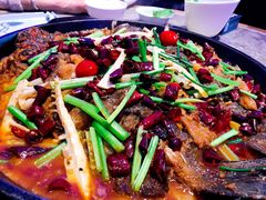 -老板恋上鱼(恒隆广场店)