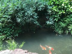 -中国茶叶博物馆(双峰馆区)