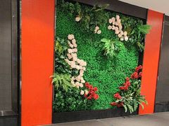 -辛香味烧鱼馆·非遗技艺·排骨红烧肉(光谷医药园店)