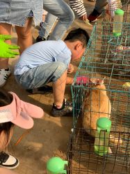 -前小桔亲子创意农场·草莓采摘·露营烧烤
