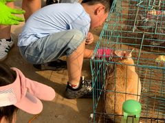 -前小桔亲子创意农场·草莓采摘·露营烧烤