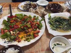 -煲来饱去冷水鱼