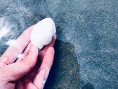 -碧桂园十里银滩