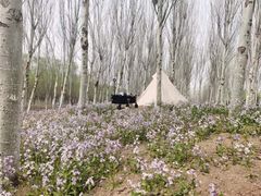 -东郊湿地公园