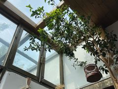 -点绛唇(鼓楼店)
