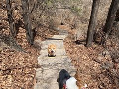 -道须沟旅游风景区