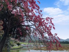 -风云岭森林公园