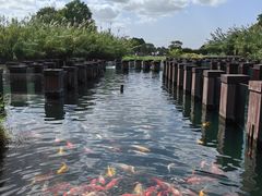 -宁波杭州湾国家湿地公园