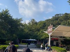 -广州白江湖森林公园