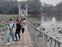 -东湖落雁景区