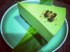 -柴务处·柴犬主题狗咖