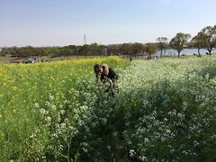 -上海都市菜园