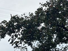 -黄公望隐居地