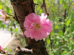 -哈尔滨师范大学(松北校区)